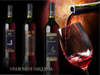 i vini rossi di tarquinia